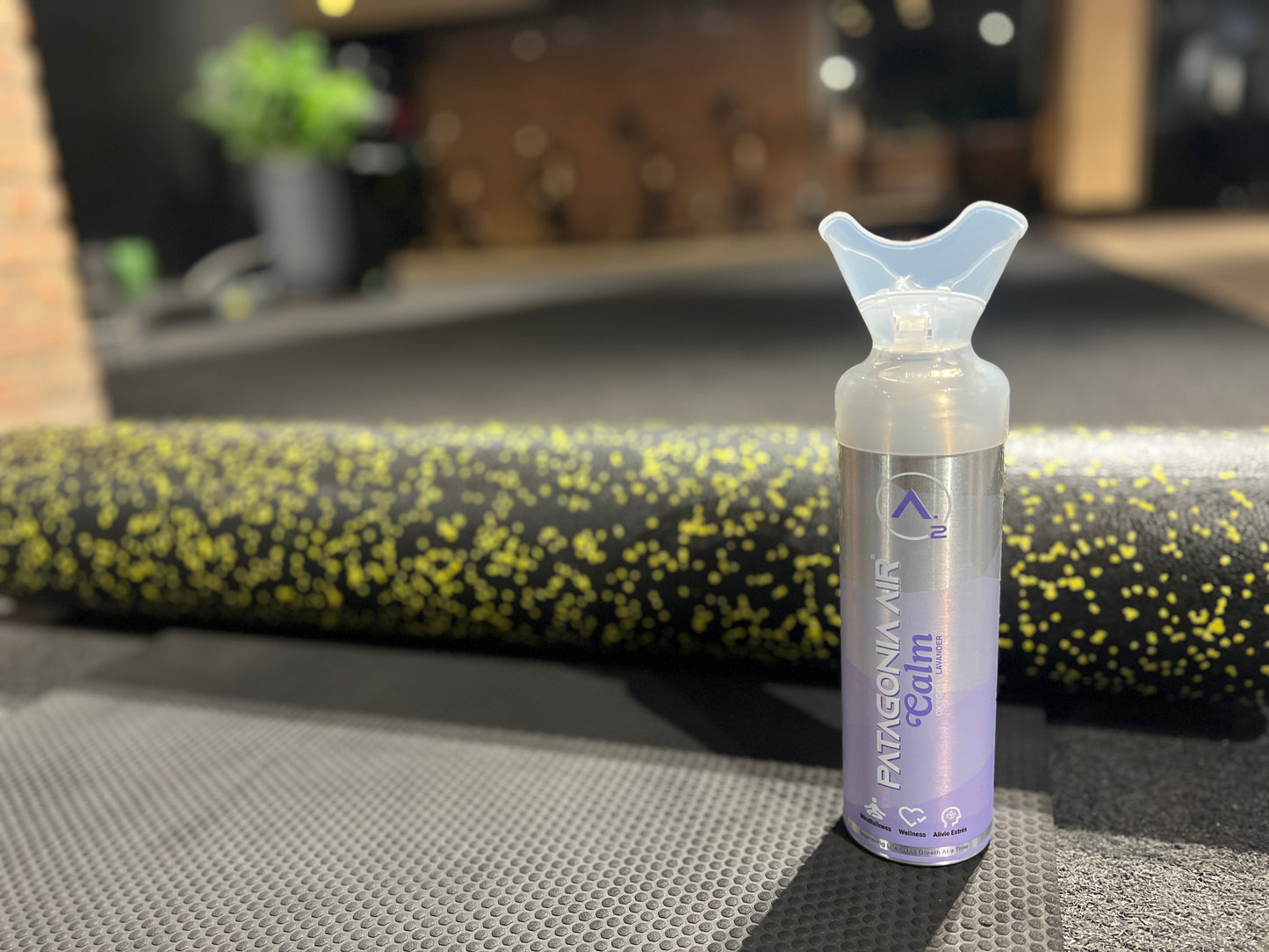 IMG_9115.jpg__PID:1aff7918-b83d-48a4-be47-9152ce677b05